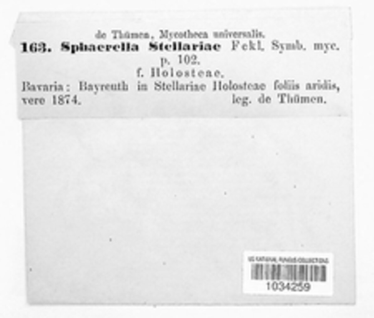 Sphaerella stellariae image